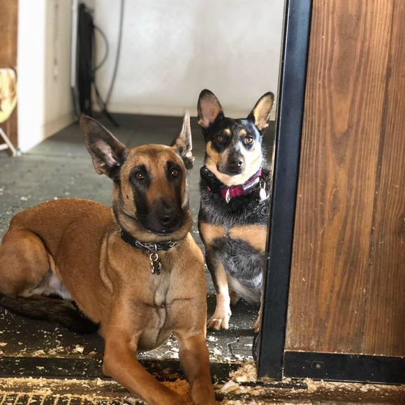 Meet your Posher, Joshuaa - Picture 1 of 1